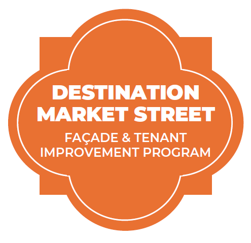 DMS Logo